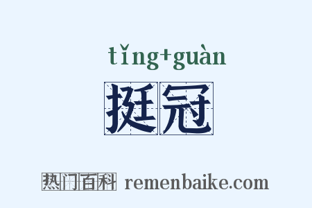 挺冠是什么意思的图片